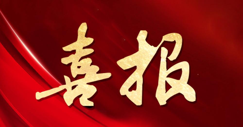 喜报 | asiagame股份获评“2024年度杰出贡献奖”